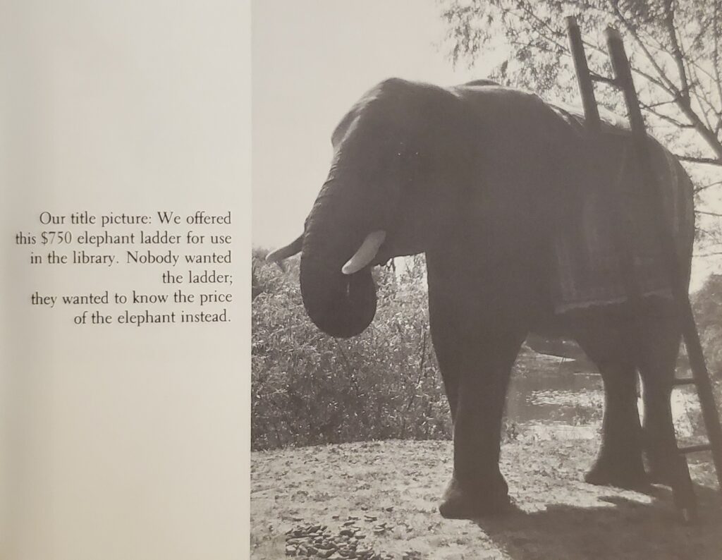 a ladder leaning against the titular elephant